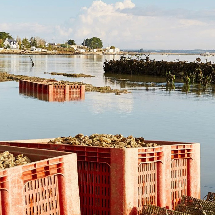 Maisons à vendre Le Tour-du-Parc