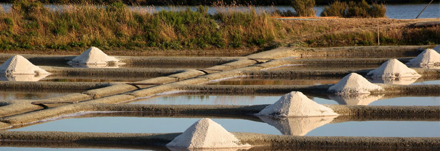 Les marais salants de Lasné