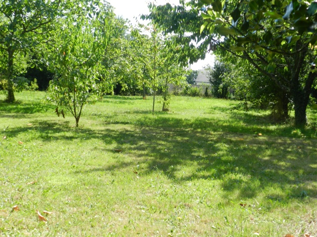 Terrain constructible, c&ocirc;t&eacute; Oc&eacute;an !